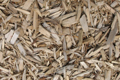 biomass boilers Tregare
